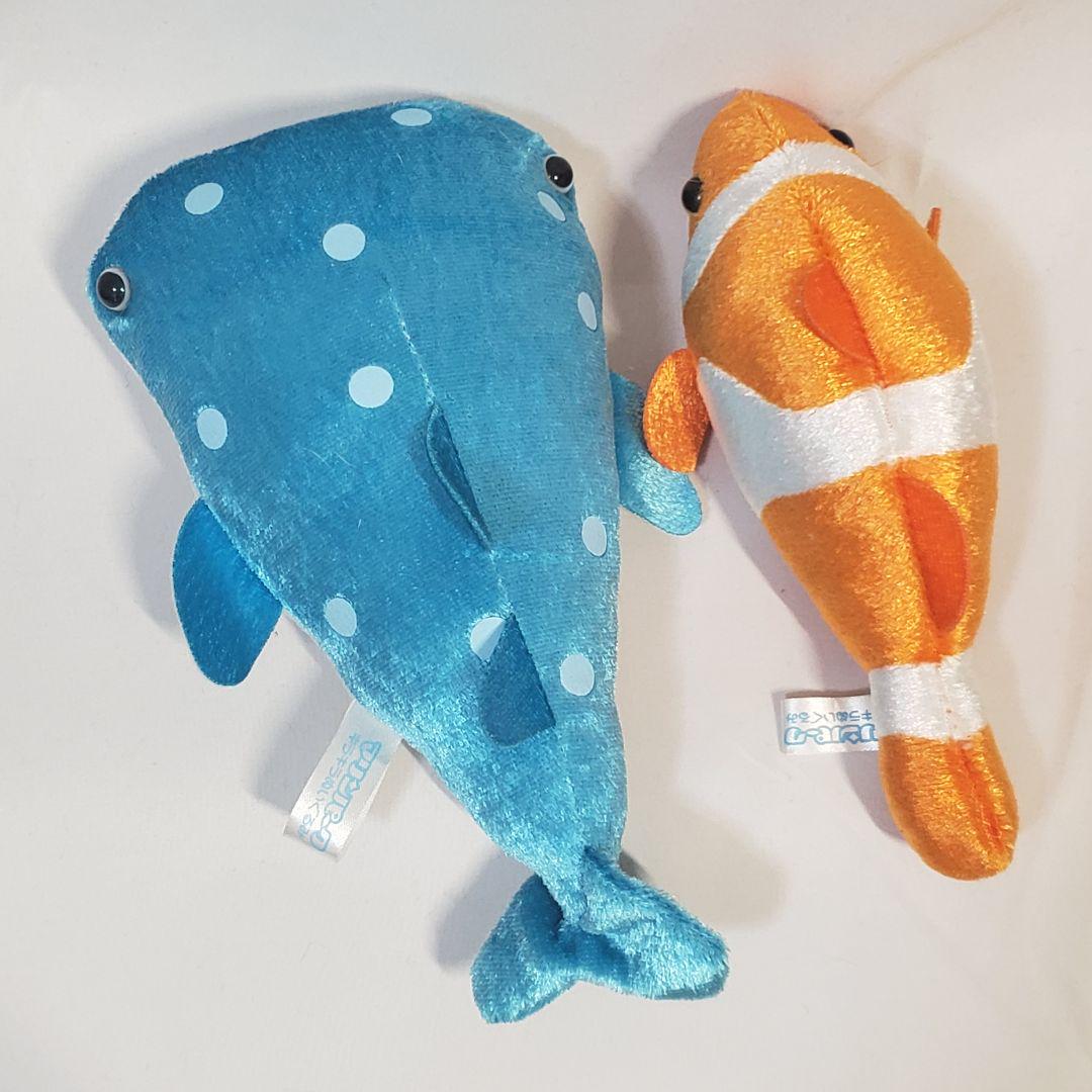 옐 15cm 봉제인형 라운드 아이 아쿠아리움 마린 파크 - Marine Aquarium Eel 리뷰 및 가격