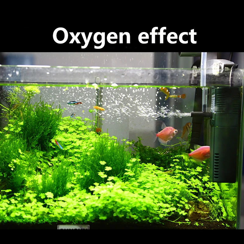 SUNSUN 미니 나노 수중 산소 펌프, 물고기 거북이 - Marine Aquarium Uv Light 리뷰 및 가격